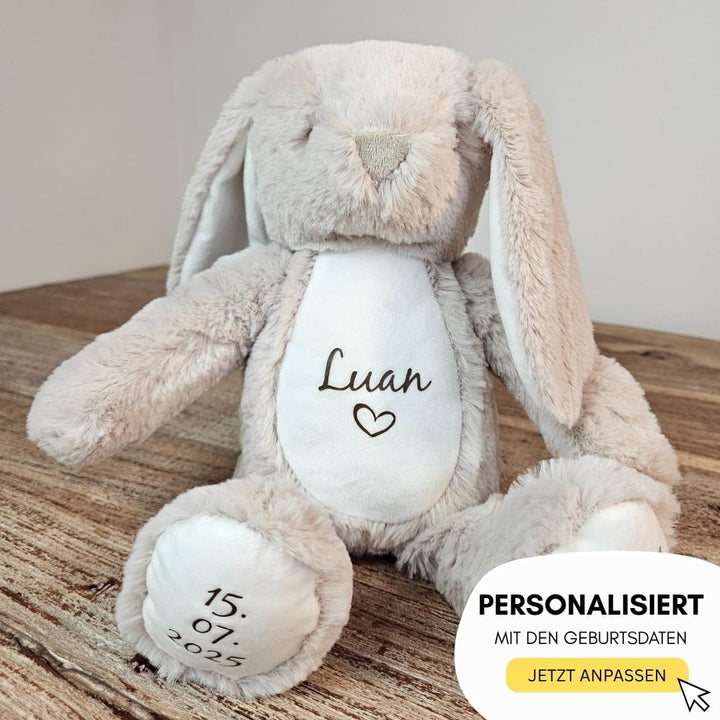Personalisierte Geschenke Baby | Kuscheltier mit Geburtsdaten & Name | Kuscheltier für Kleinkinder H