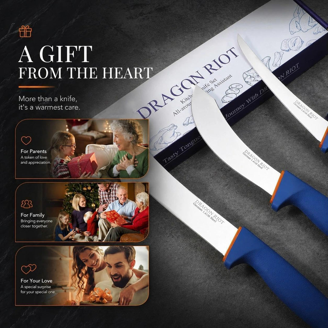 DRAGON RIOT Metzgermesser Set 3-Teilig, Flexibles Ausbeinmesser & Fleischermesser aus Edelstahl, Pro