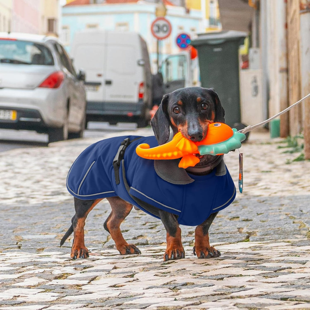 Hundemantel Dackel S, Winddichter Wasserdichter Wintermantel Für Dackel Hunde, Hundejacke Für Grosse