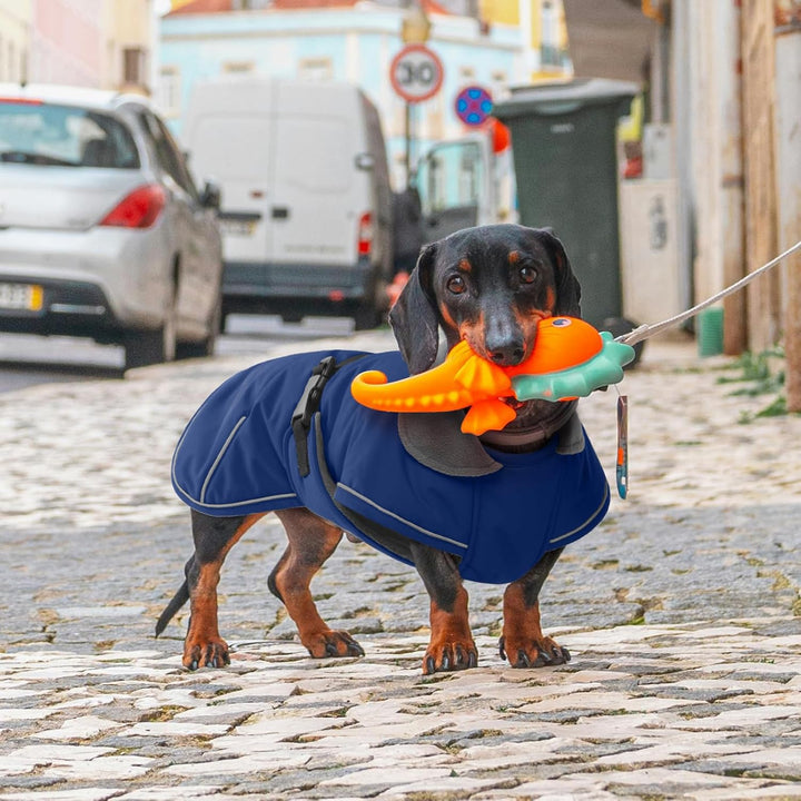 Hundemantel Dackel S, Winddichter Wasserdichter Wintermantel Für Dackel Hunde, Hundejacke Für Grosse