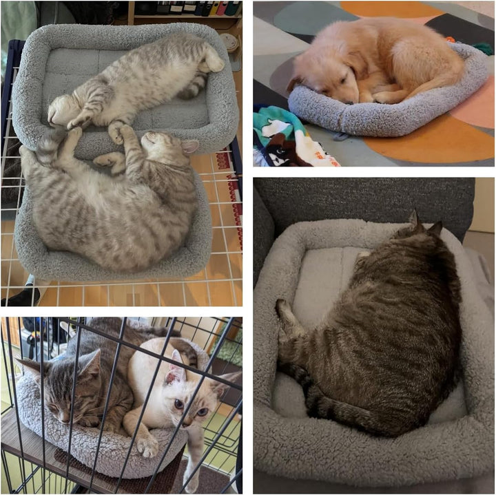 PETLESO Haustierbett Hundebetten Kissen für Katzen Ultraweiche rutschfeste Unterseite Katzenbetten H