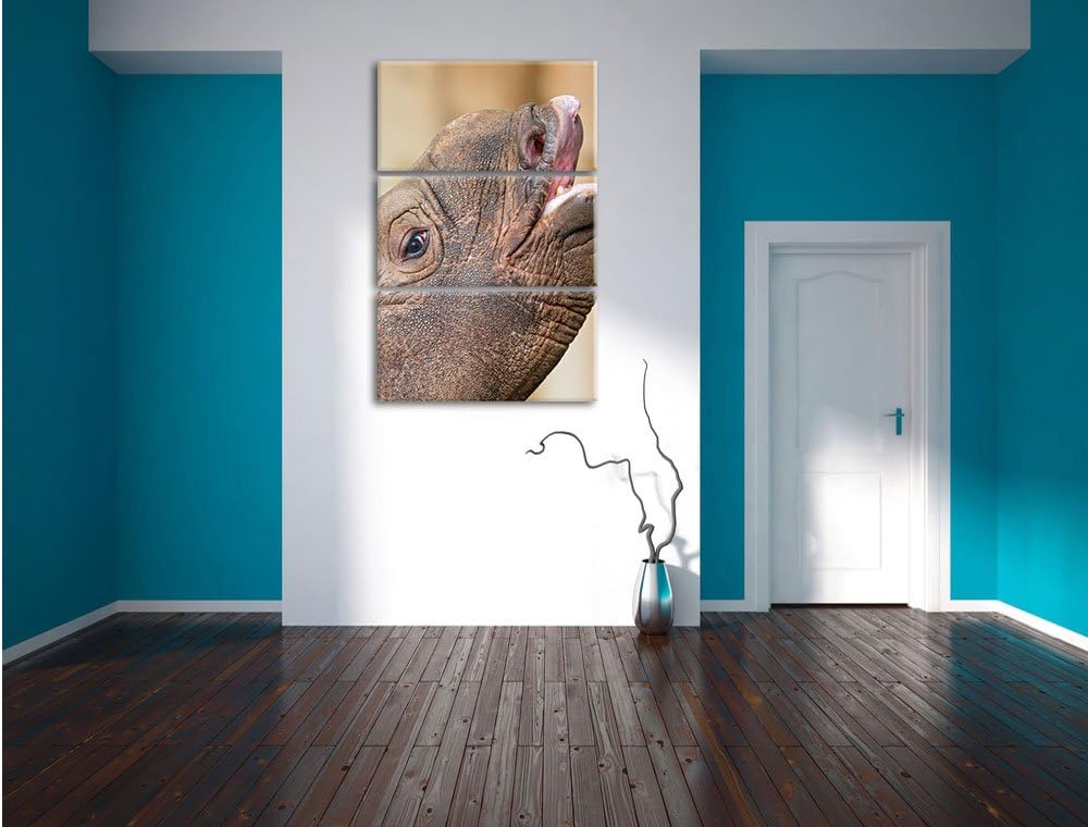 Nashorn 3-Teiler Leinwandbild 120x80 Bild auf Leinwand, XXL riesige Bilder fertig gerahmt mit Keilra