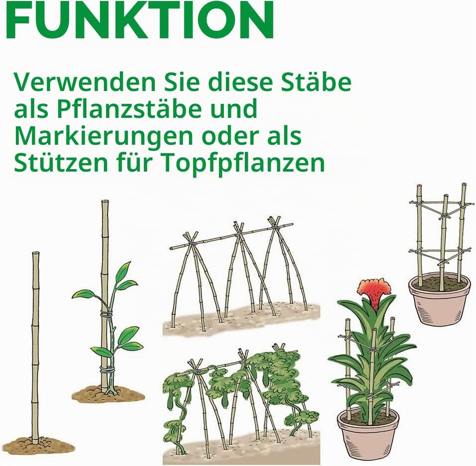 Mininfa Natürliche Bambusstäbe 60CM,50 Stück ，Umweltfreundliche Bambusstange, Bambusstangen, Pflanze