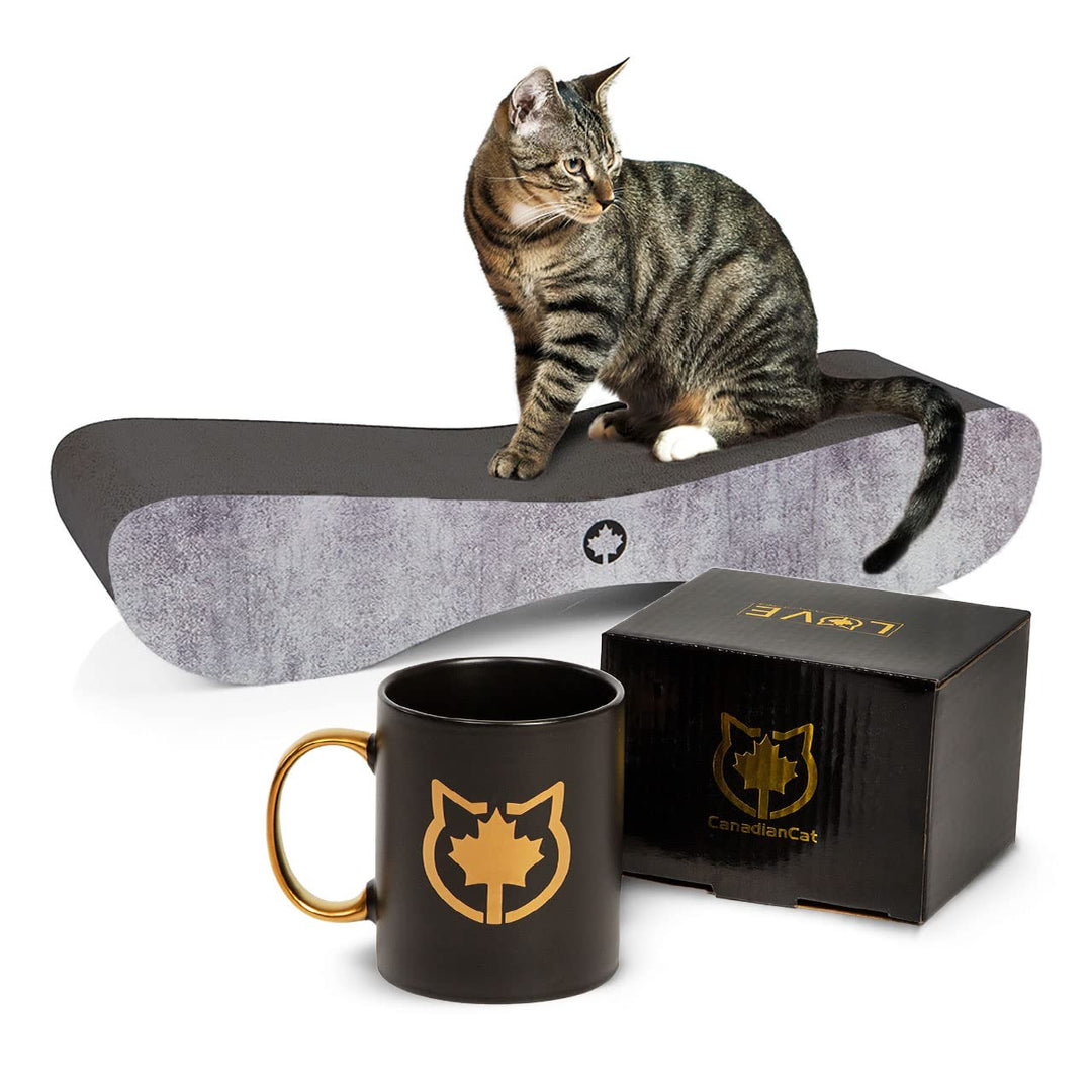 CanadianCat Company | Black Edition - Set | Kratzbrett Satellite 2.0 betonoptik + Limitierte Tasse L