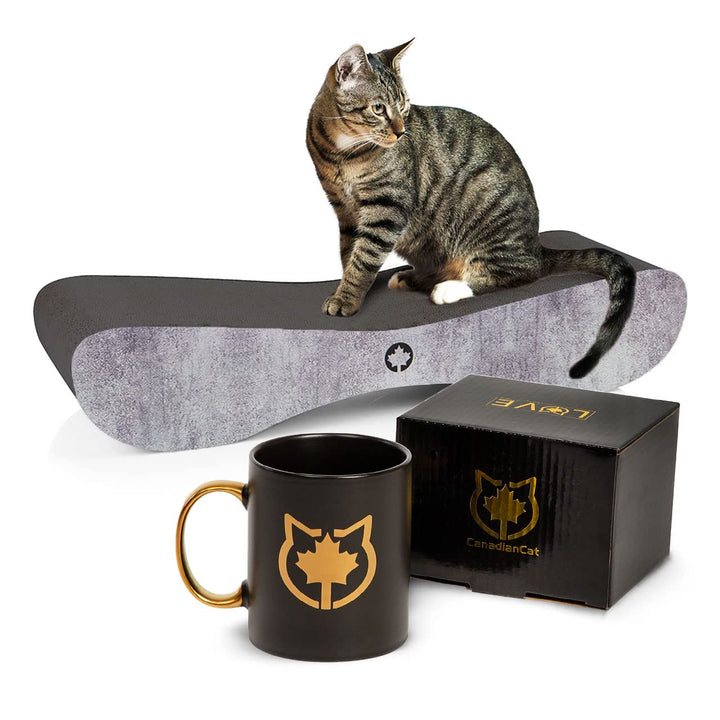 CanadianCat Company | Black Edition - Set | Kratzbrett Satellite 2.0 betonoptik + Limitierte Tasse L