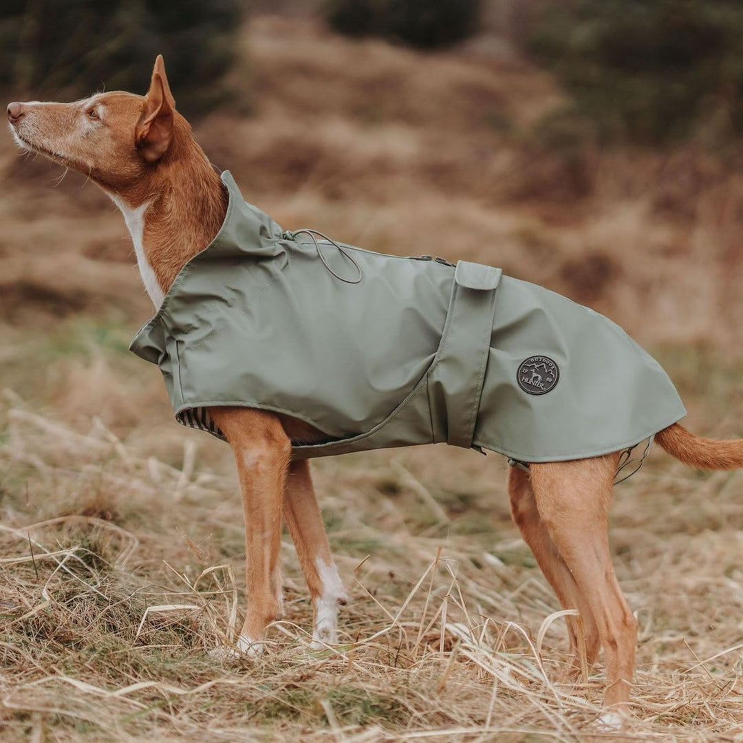 HUNTER Hunde-Regenmantel Milford, mit Geschirr- und Halsbandöffnung, 70, grün 70 Grün, 70 Grün