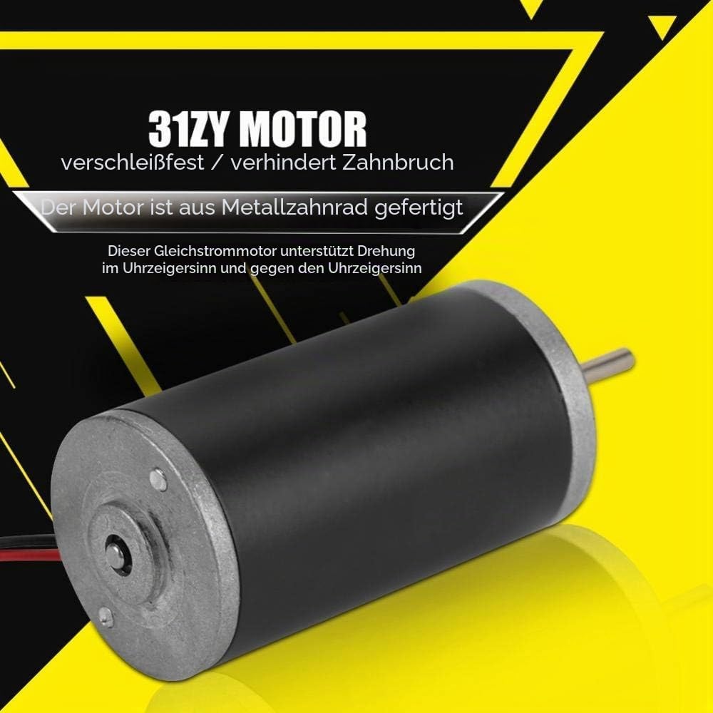 Dauermagnet DC Motor 31ZY 6V / 12V / 24V 3500-8000RPM Hochgeschwindigkeits-Reversible Elektrische CW