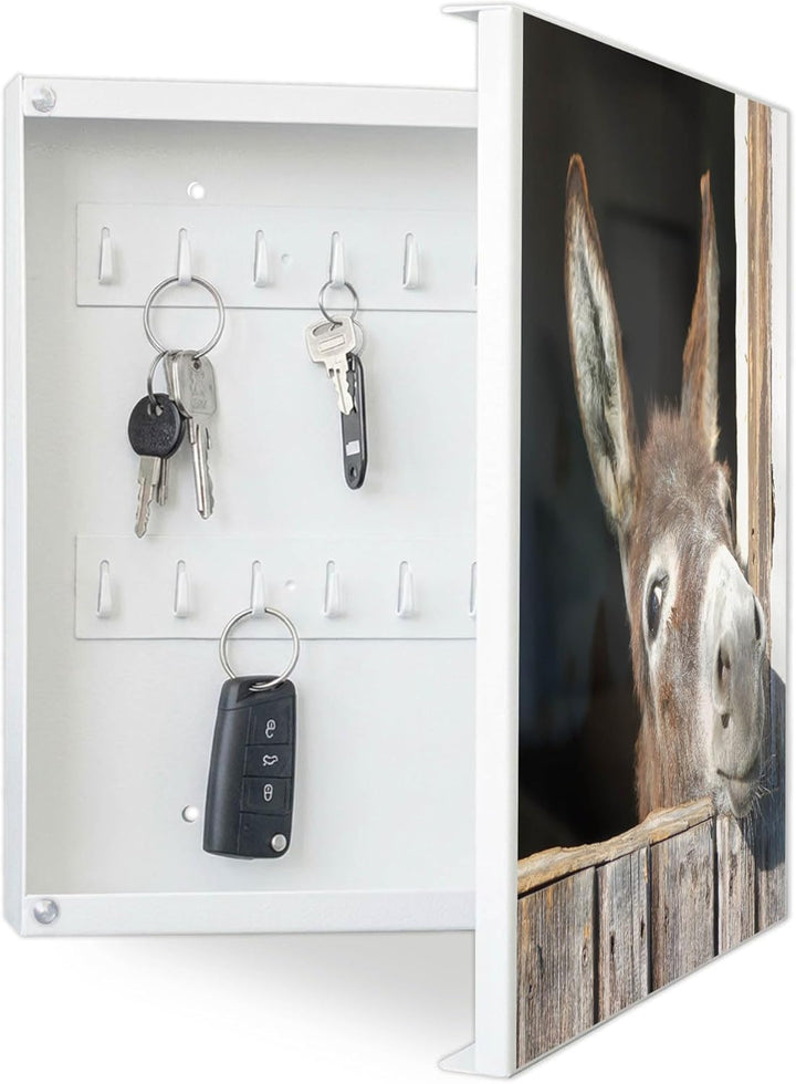 banjado® Grosser Schlüsselkasten Glas/Schlüsselbox 30cm x 30cm mit 50 Haken - Motiv Nicki/Schlüsselk