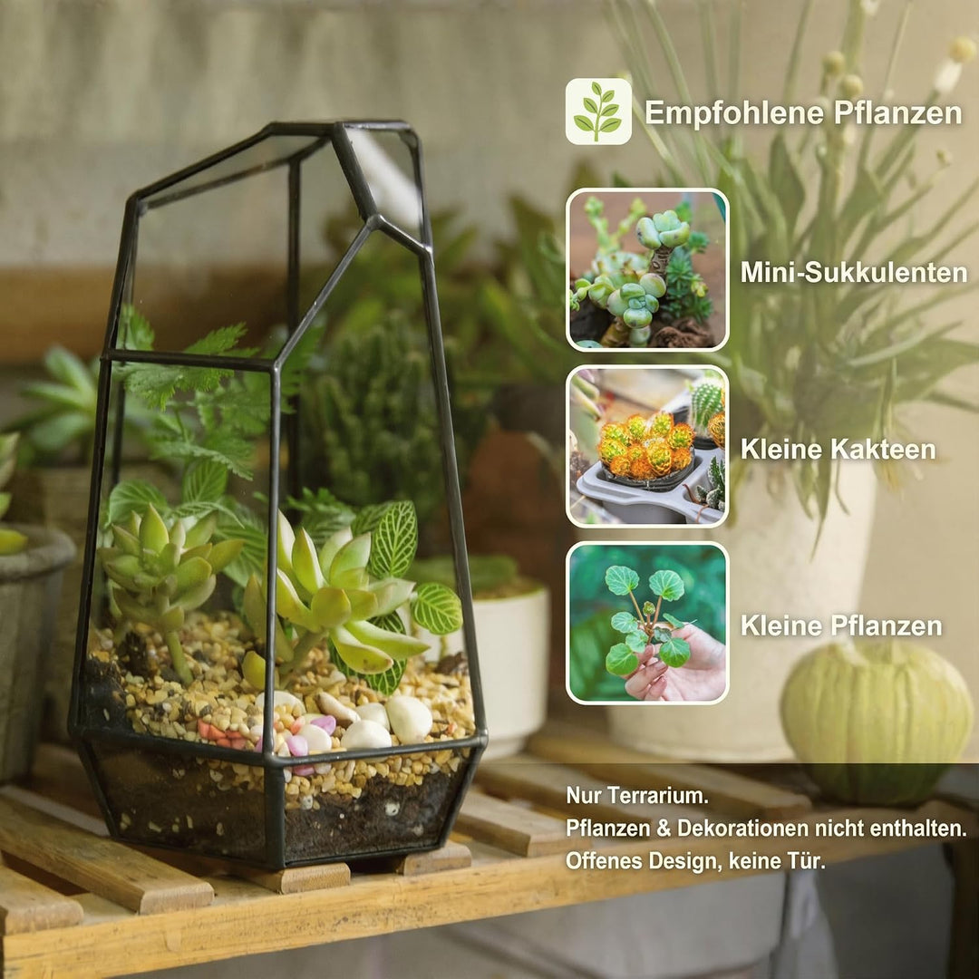 NCYP 10x12,5x19cm Handgefertigtes unregelmässiges Prisma-Glas geometrische Terrarienbox, für Tischpl