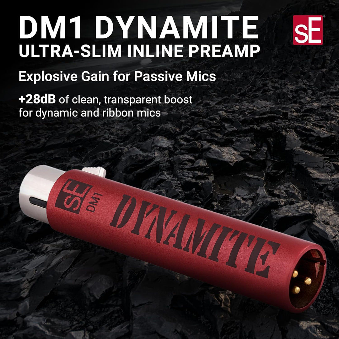 DM1