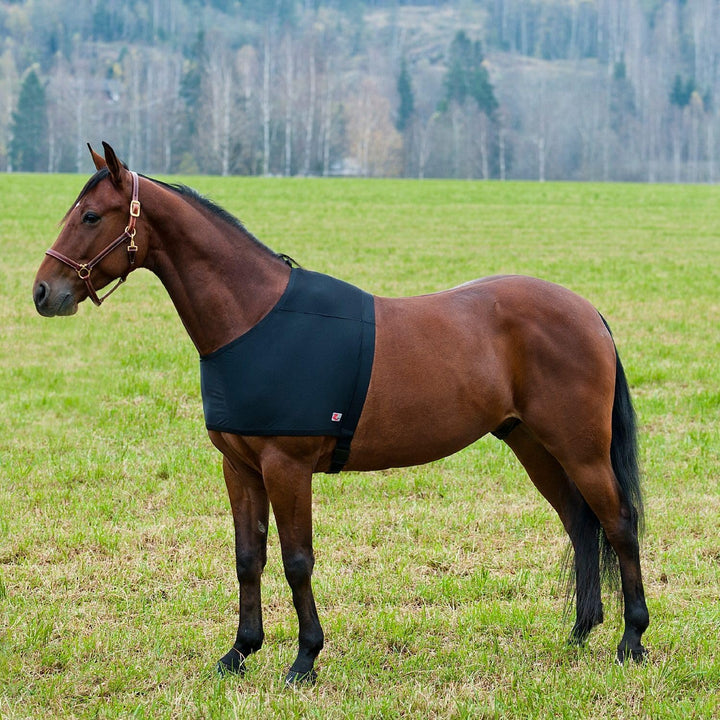netproshop Weicher Brustschutz Schulterschutz gegen Scheuern Pony/Cob/Full/XLFull, Auswahl:XL Full,