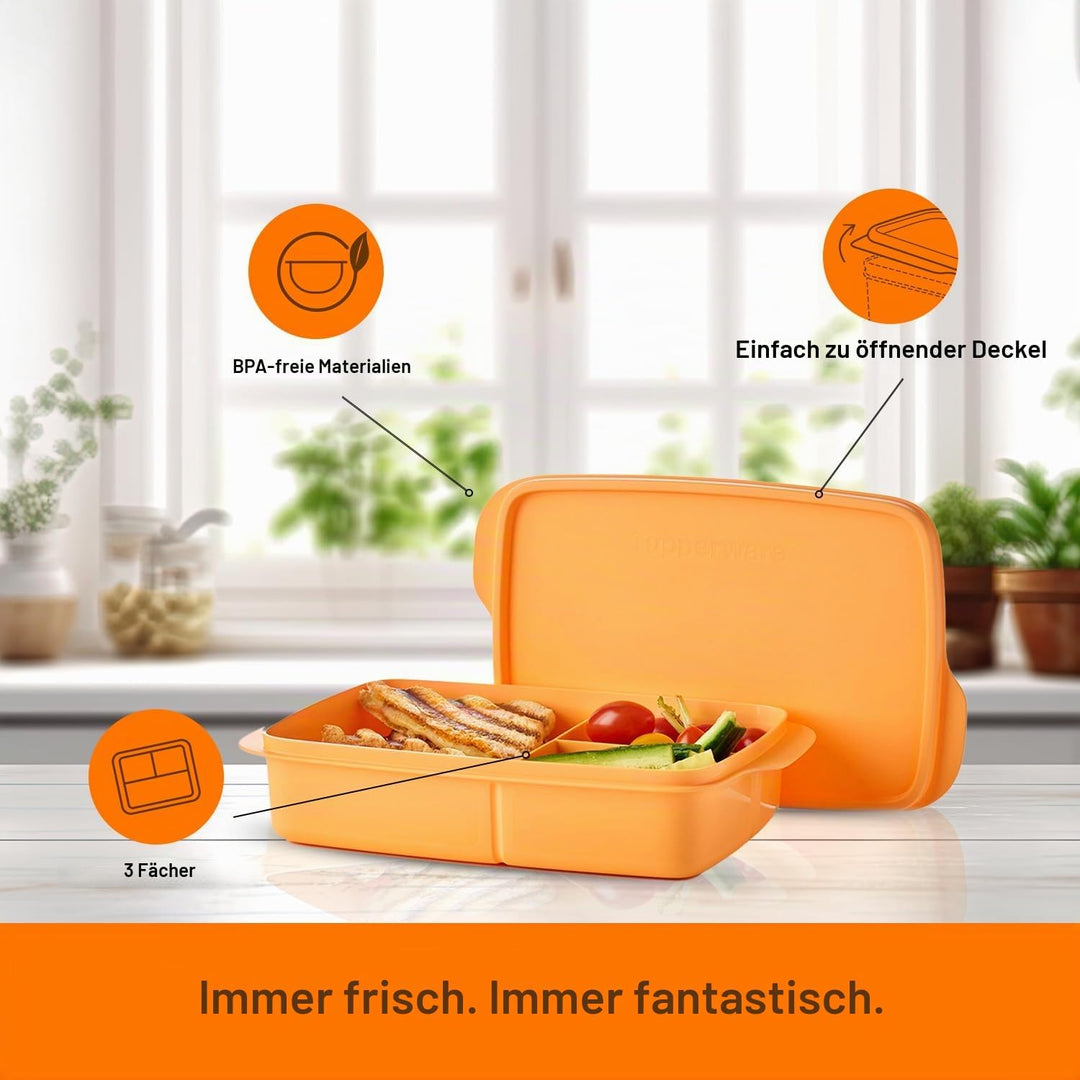 Tupperware Lunch-It Portion & Go Lunchbox für Lebensmittel, spülmaschinenfest, BPA-frei (4 Tassen/1