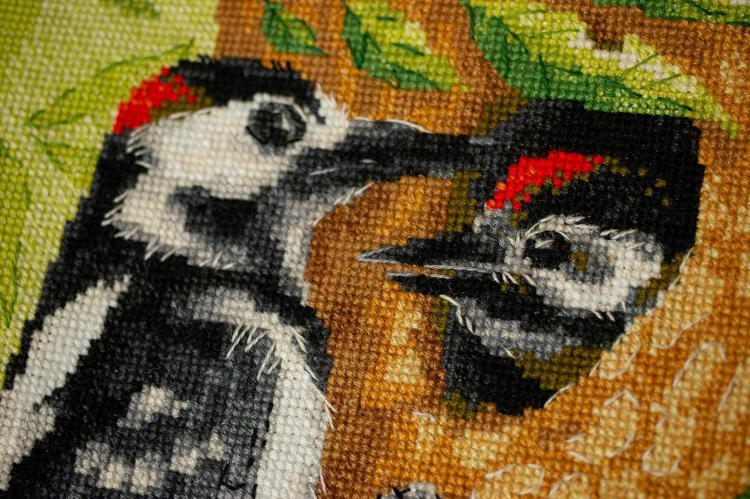 Riolis 1851 Kreuzstich-Set, Mehrfarbig, 21x30cm