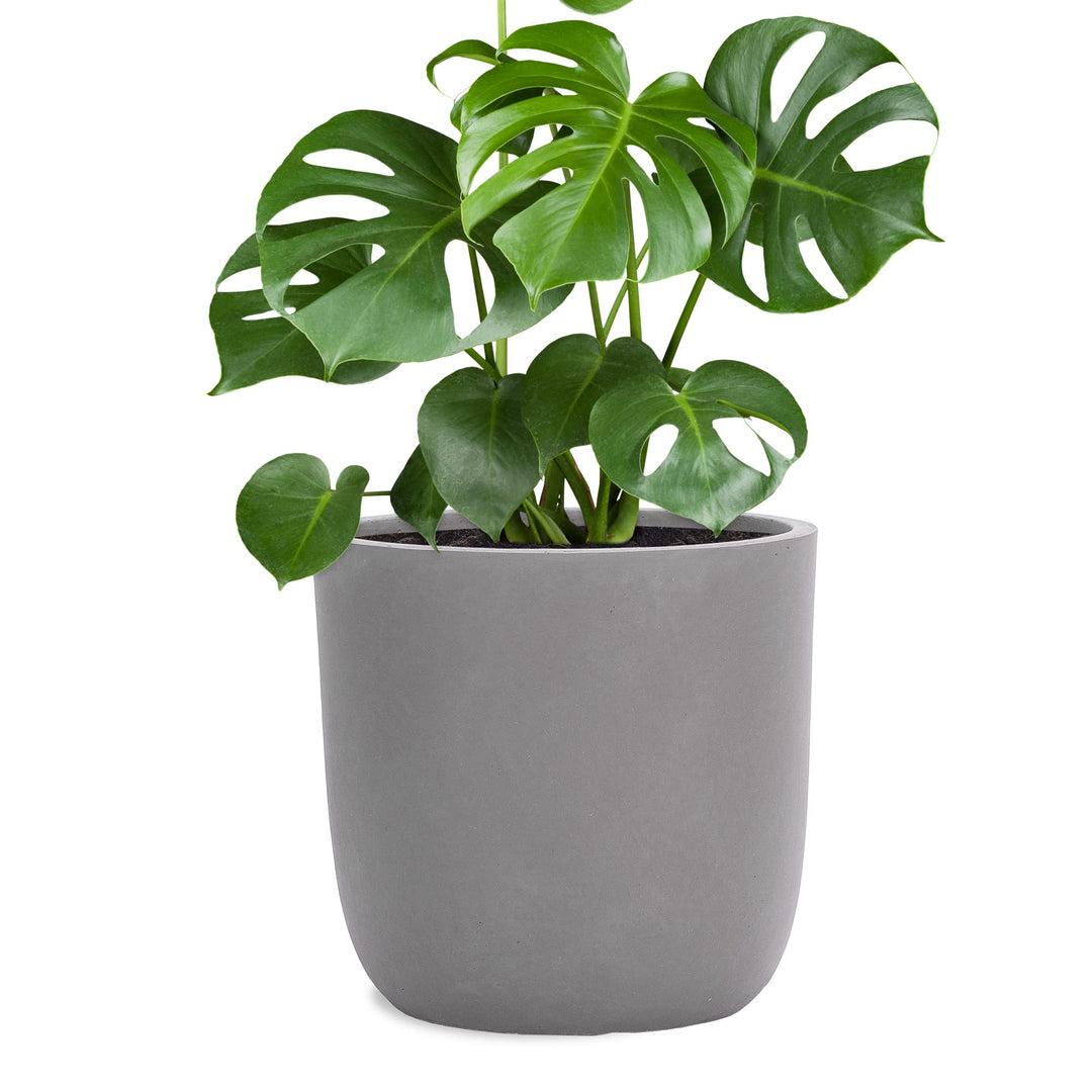 Pflanzwerk® Pflanzkübel Cup - Blumentöpfe Übertöpfe 27cm Ø GRAU *Frostbeständige Blumenkübel* *UV-Sc