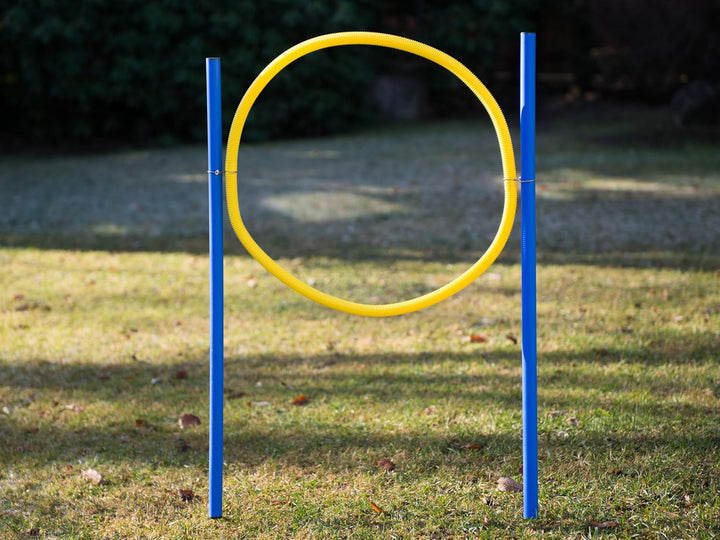 Ingbertson Agility Kit für Hunde – Komplettes Agility-Set für Garten & Hundesport, Hürden & Slalomtr