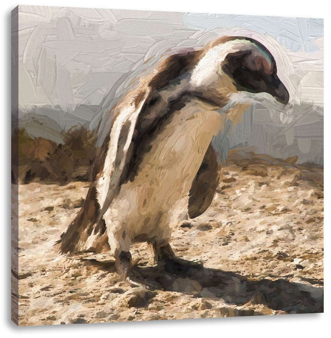 Pixxprint Afrikanischer Pinguin beobachtet Pinsel Effekt, Format: 70x70 auf Leinwand, 70x70
