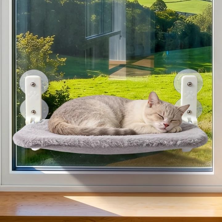 Katzen Fensterhängematte: Faltbares Katzen Fensterbett mit Abnehmbare Plüschunterlage und 4 Starken