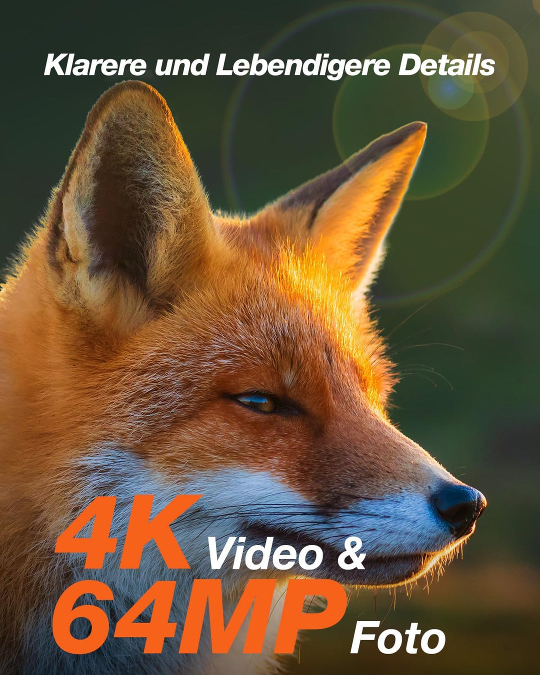 iZEEKER Solar Wildkamera 4K 64MP mit Handyübertragung App, WLAN & Bluetooth Wildtierkamera mit Beweg