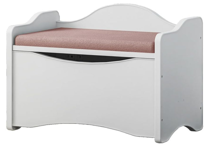 BDW Sitzbank mit Stauraum - Aufbewahrungsbox mit Deckel - für Kinderzimmer, Kindergarderobe - Schuhb