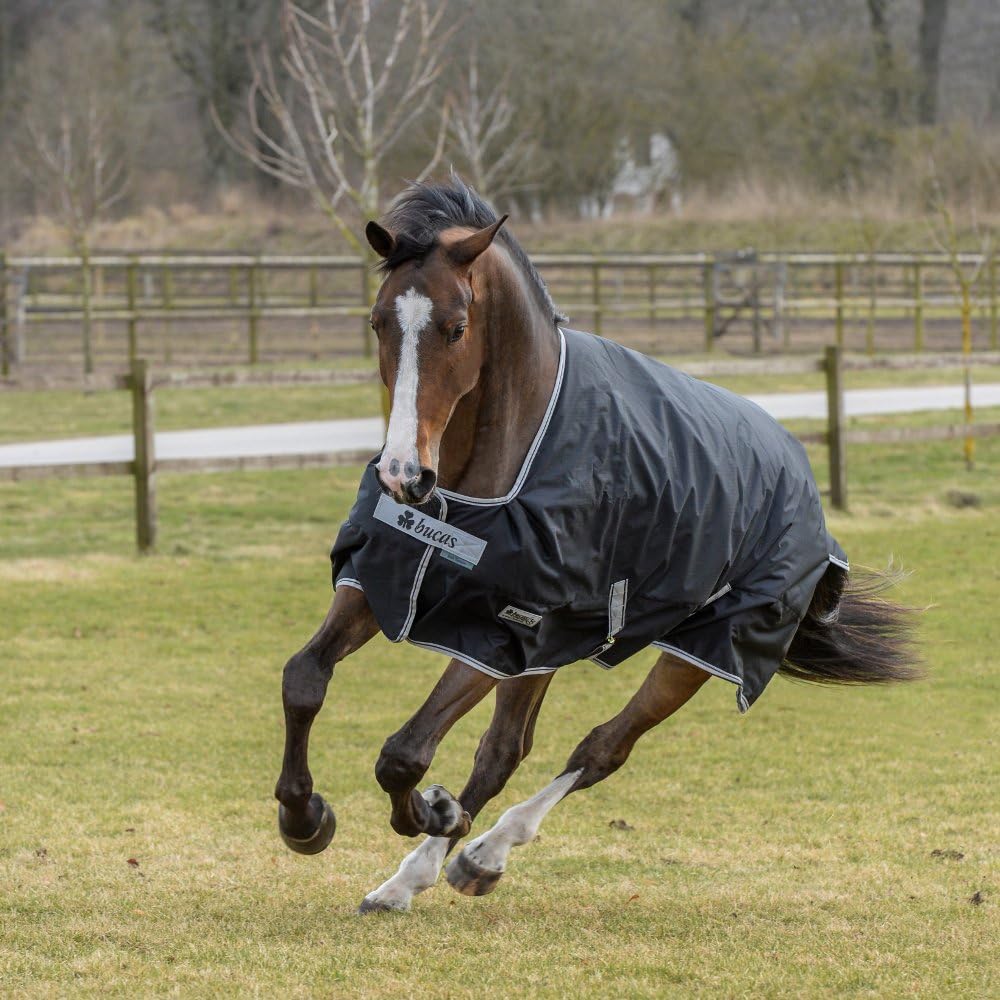 Bucas Anniversary Turnout Light SD 0g - Black/Silver, Groesse:145