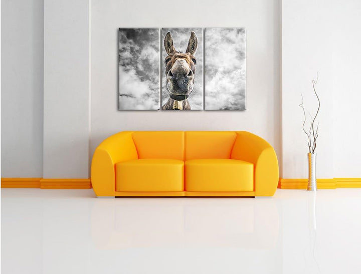 Pixxprint Lustiger Esel als Leinwandbild | Grösse: 3 Teilig (120x80) | Wandbild| Kunstdruck | fertig