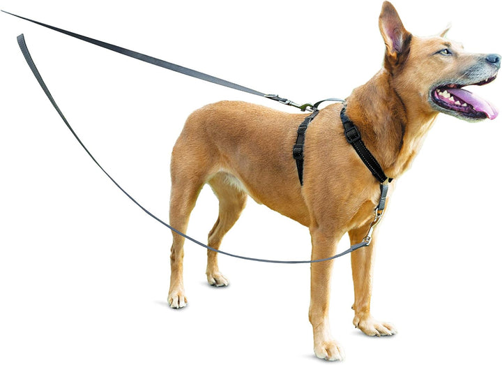 PetSafe Anti-Zieh Hundeleine, Kompatibel mit PetSafe 3-in-1-Geschirr, 1,2 m Länge, Aus reflektierend