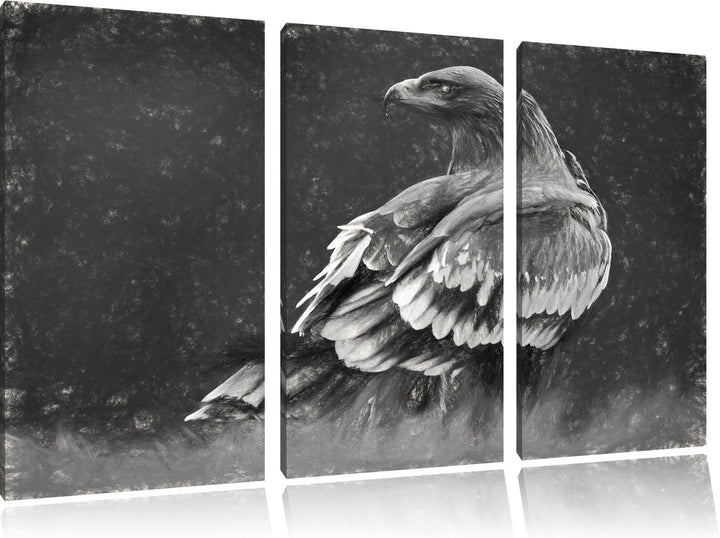 Pixxprint Einsamer Falke mit braunem Gefieder Kunst Kohle Effekt 3-Teiler Leinwandbild 120x80 Bild a