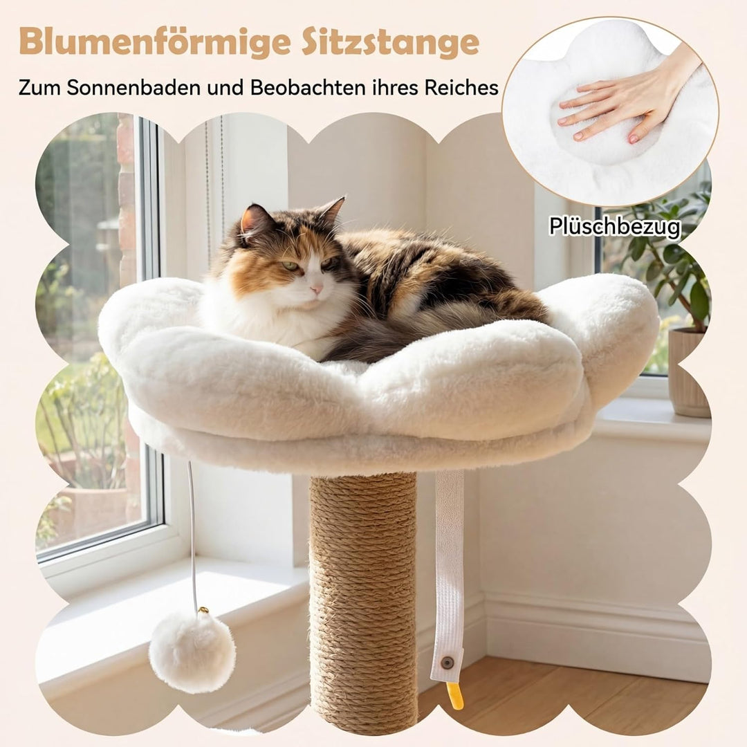 COSTWAY Kratzbaum, 96 cm, Katzenbaum mit Katzenhöhle, Plattform, Bett, grosser Basis & 2 Bällen, Dic