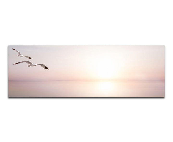 Paul Sinus Art Panoramabild auf Leinwand und Keilrahmen 120x40cm Meer Sonnenlicht Möwen abstrakt