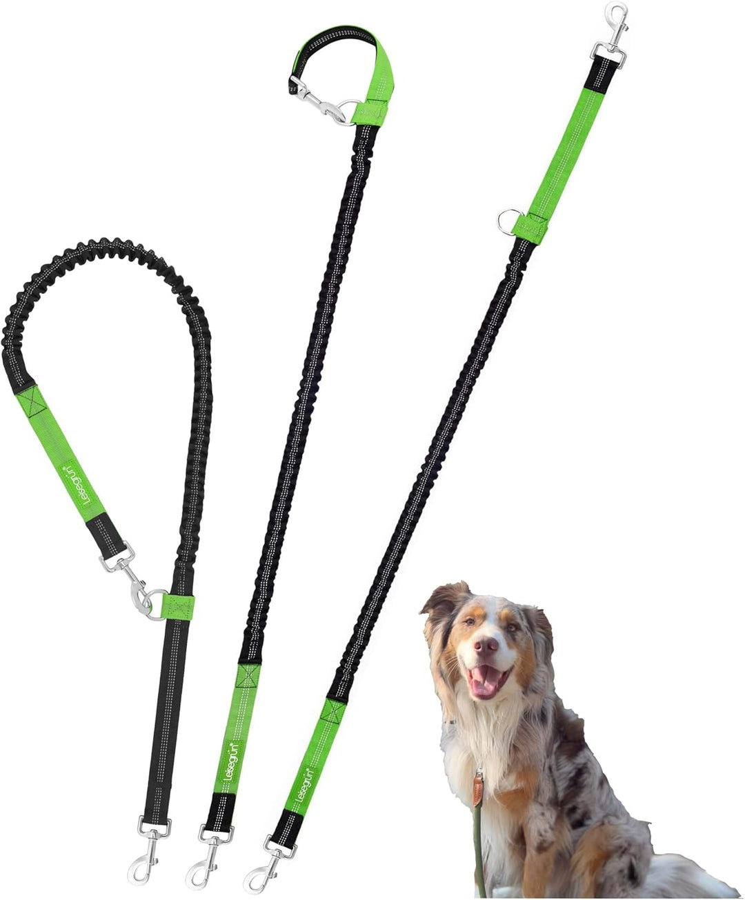 Leisegrün Bungeeleine für mittelgrosse Hunde bis 25 kg - Elastische Hundeleine für Joggingleine - Lä