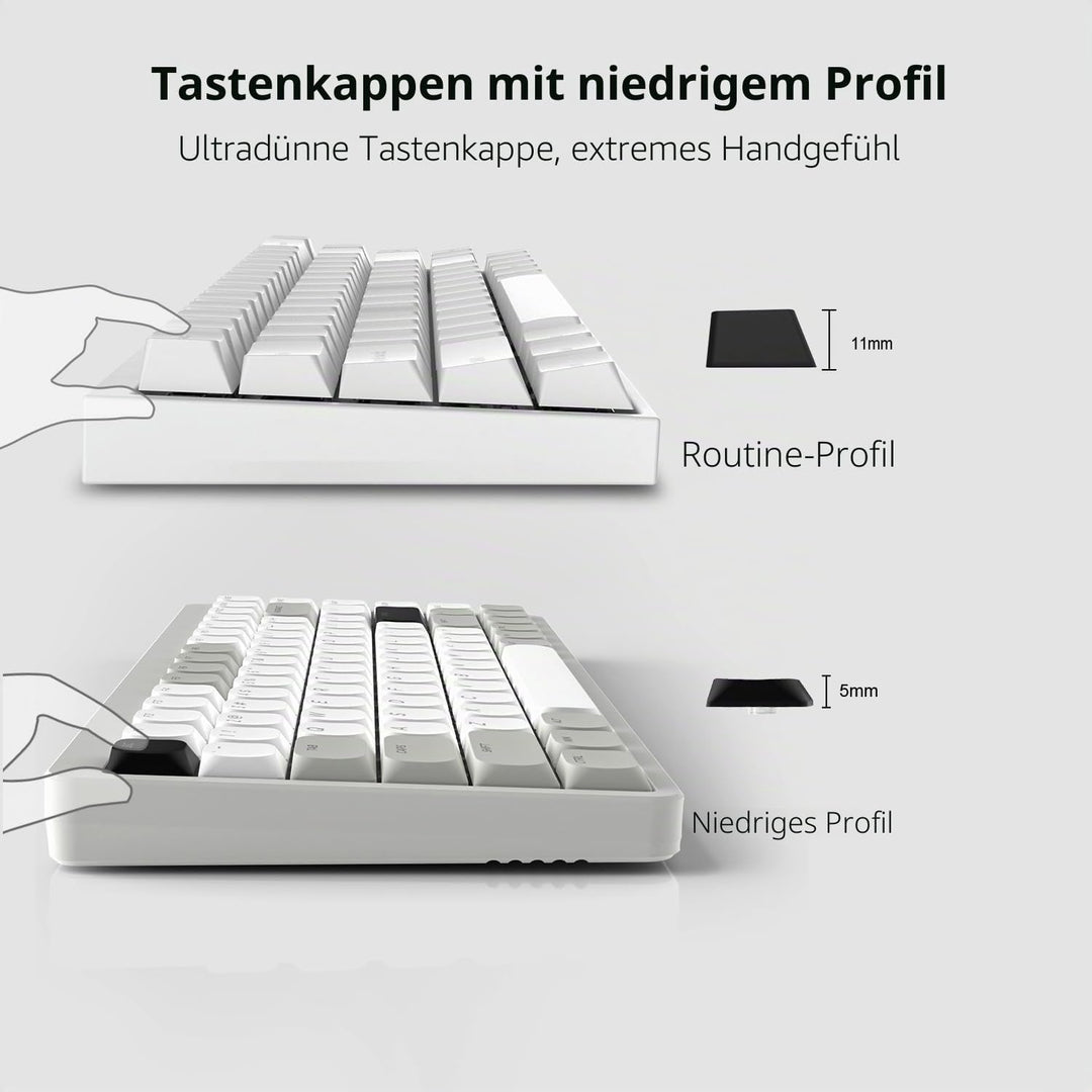 XVX Low Profile Keycaps – Shine Through Keycaps, Keyboard Keycaps, Keycaps 75 Prozent PBT Keycaps, F