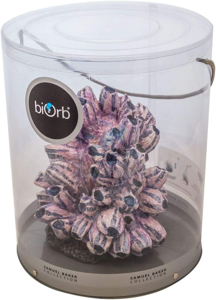 biOrb 48359 Rankentraube Ornament – naturnahe Aquariumdeko in Form von lila Polypen auf grauem Felse