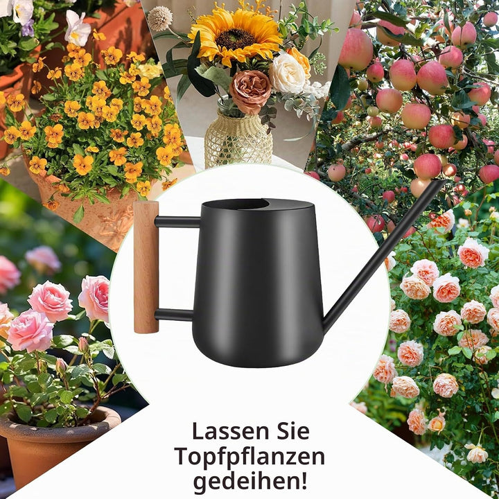 1L Giesskanne Zimmerpflanzen, (1000 ml) 35 Oz Metall Edelstahl Klein Giesskanne mit Langem Auslauf u