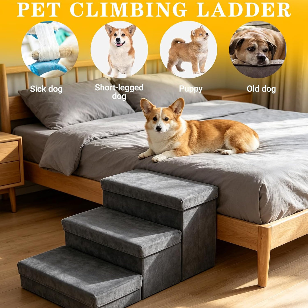 Hundetreppe mit Stauraum, Haustiertreppe Faltbar, Treppe für Hunde 2/3 Stufen, Hundetreppe für Klein