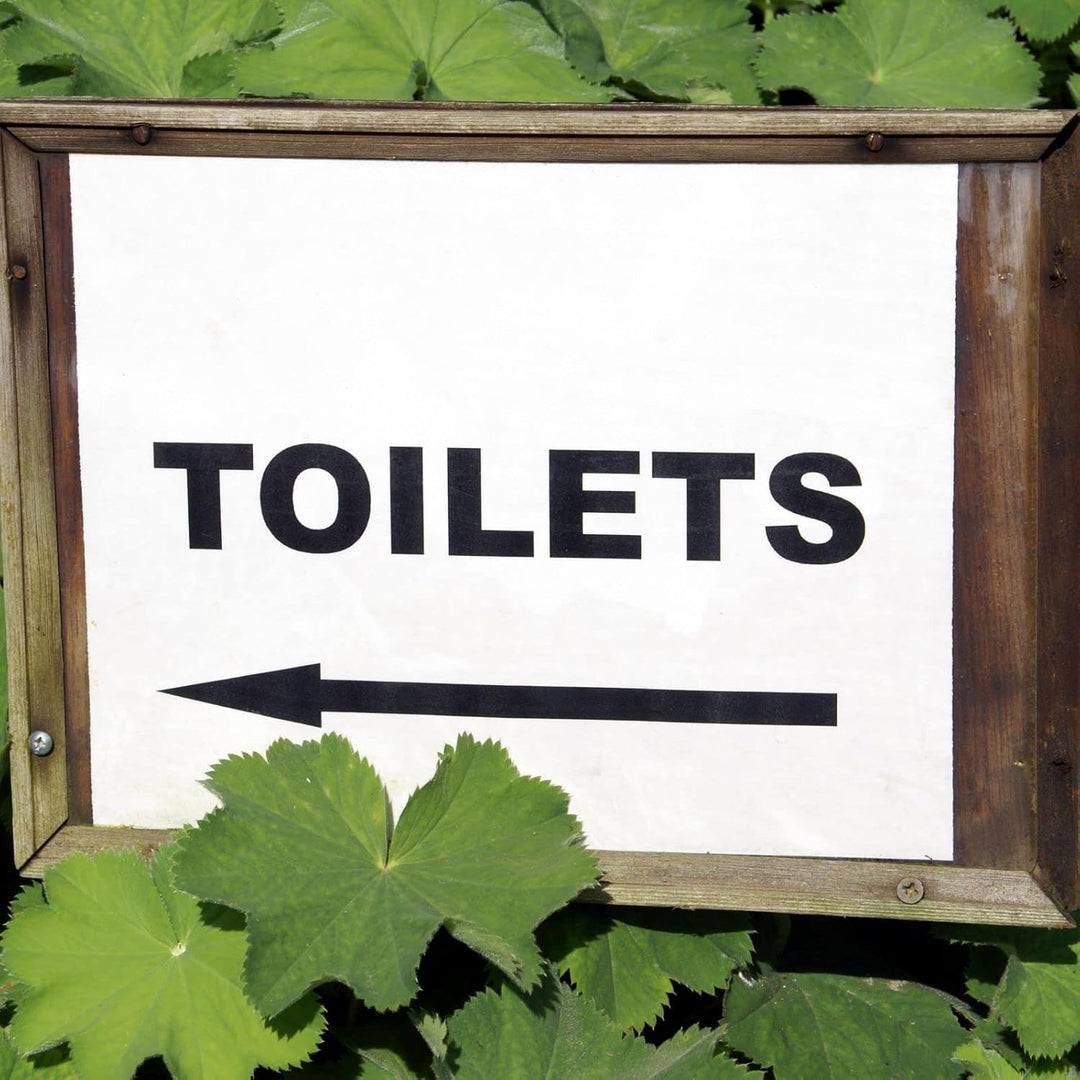 20 L Einstreu für Trenn-, Trocken-, Camping- & Komposttoiletten, Streu ohne Torf, mit Pflanzenkohle