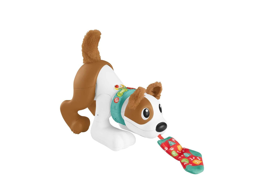 123 Crawl with Me Puppy
