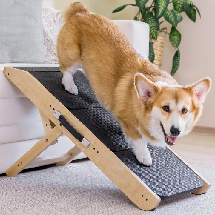 Hundetreppe für Bett & Sofa 2-in-1 Rampe - Höhenverstellbar bis 18-50 cm - für Kleine Hunde - leicht