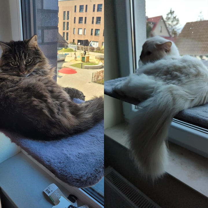 Katzen Hängematte Fensterliege mit 6 Starken Saugnäpfen,Faltbares Katzen Fensterbett, 52x30cm Grau –