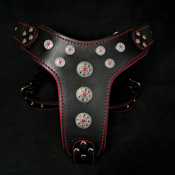 Bestia Bijou Hundegeschirr aus echtem Leder mit Nieten für mittelgrosse bis grosse Rassen 95 -145 cm
