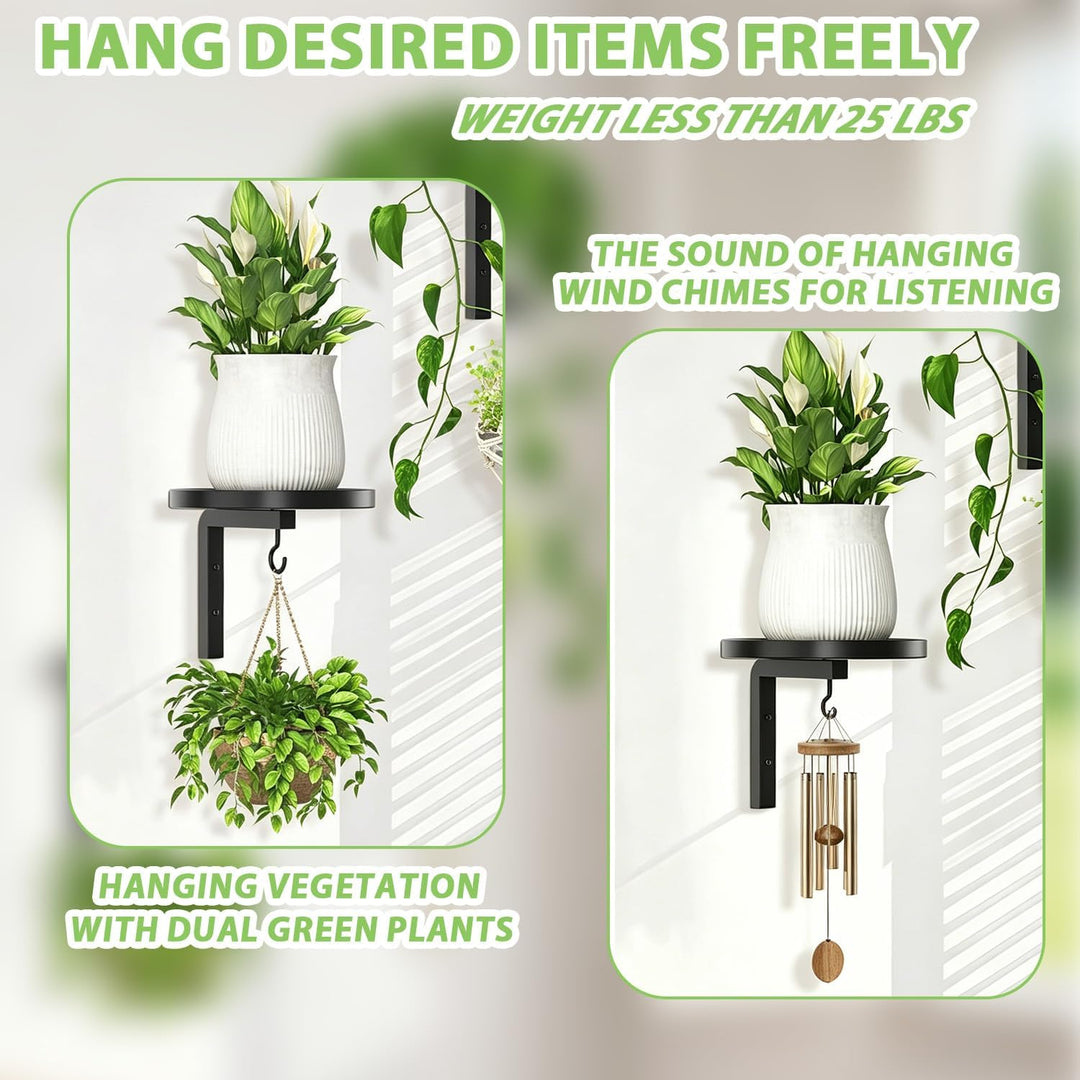 2 Stück Wandbehang Pflanzenständer Metall, 20 cm Pflanzenhalter Wand Metall mit Haken, Pflanzenregal