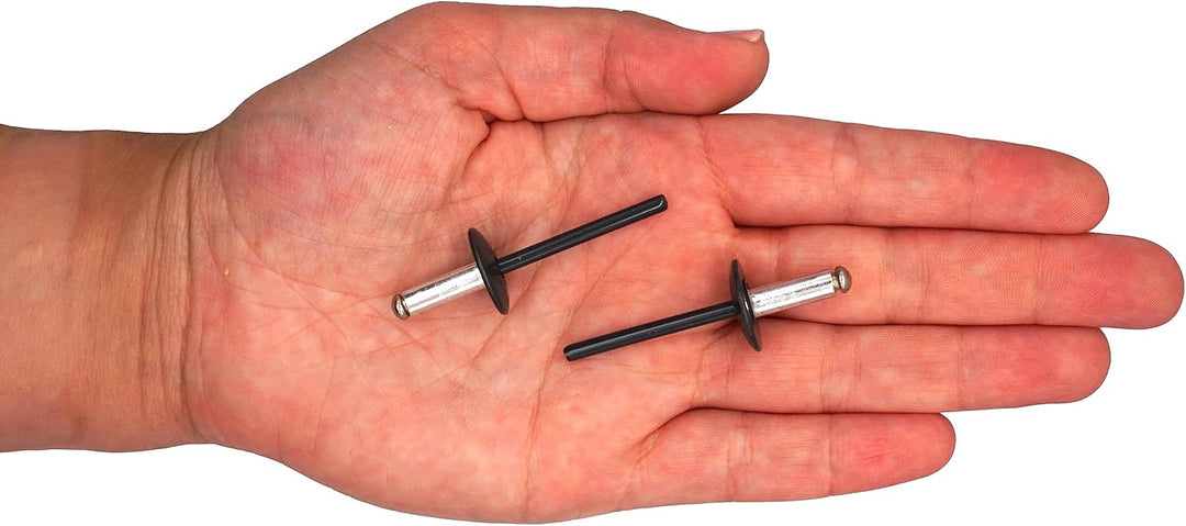 SKIR'CO (100 Stück) Grossflansch Alu Blindnieten 4,8 x 14 mm, Edelstahldorn, RAL 7016 Anthrazitgrau