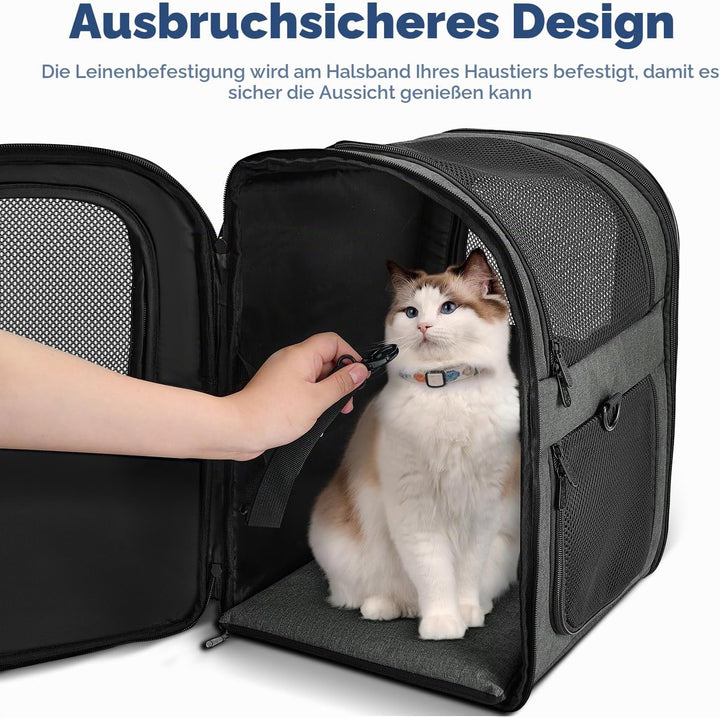 Apollo Walker Pet Carrier Backpack for Large/Small Cats and Dogs, Puppies, Safety Features and Cushi