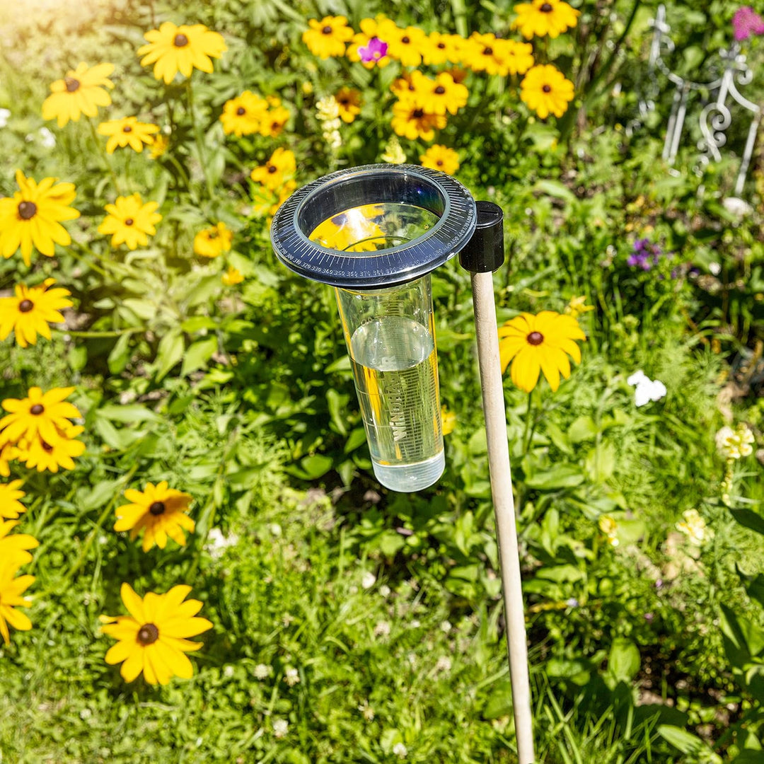 Windhager Profi-Regenmesser mit Memoryfunktion, Niederschlagsmesser, Regenwassermessung, für Rasenau