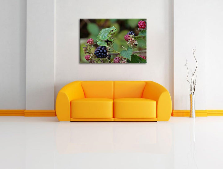 kleiner Frosch auf Brombeerstrauch Leinwand, XXL riesige Bilder fertig gerahmt mit Keilrahmen, Kunst