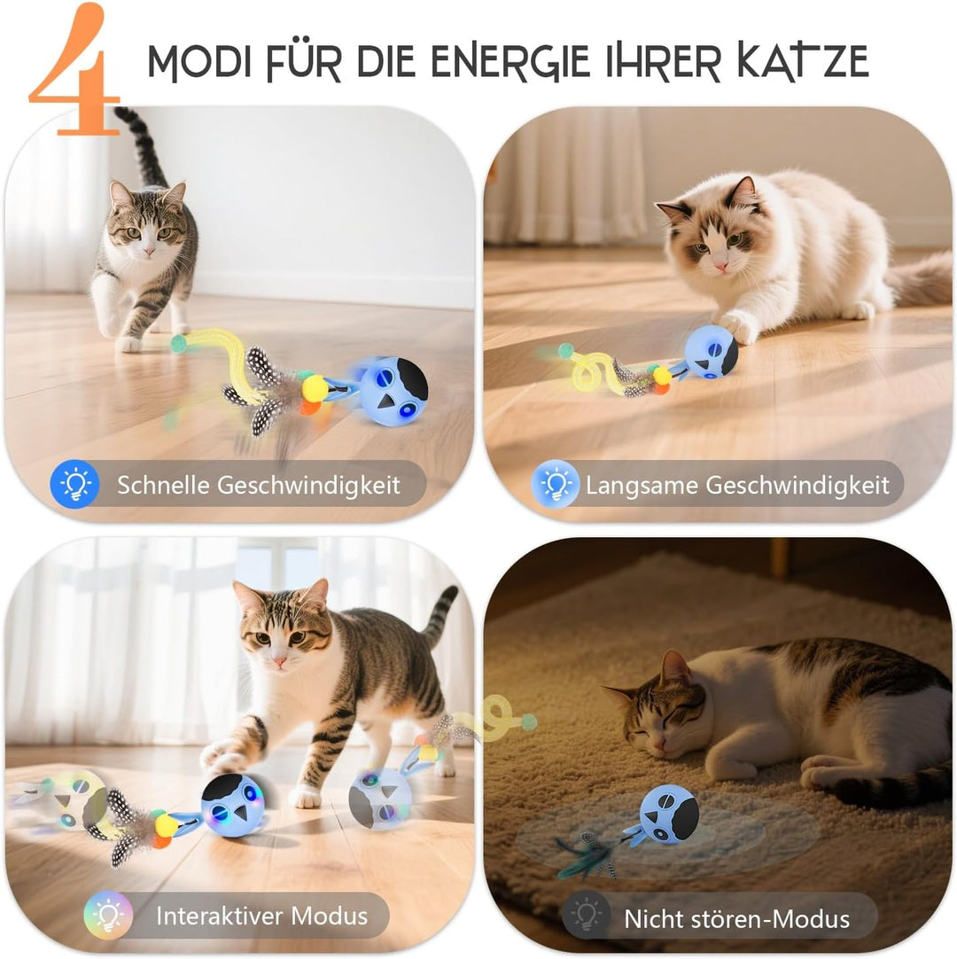 Zeepet katzenspielzeug Ball, Interaktives Katzenspielzeug, katzenball elektrisch, Automatisch Bewegl