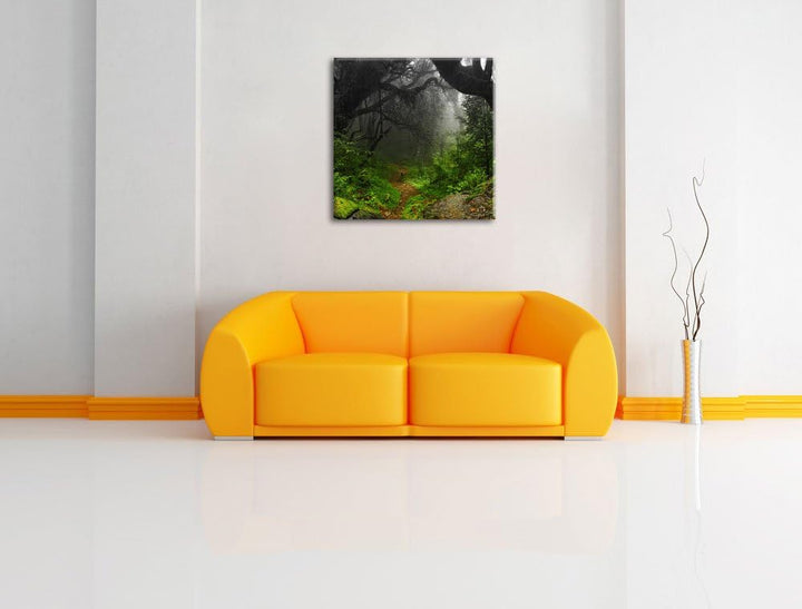 Pixxprint Mystischer Regenwald als Leinwandbild Quadratisch/Grösse: 70x70 / Wandbild/Kunstdruck/fert