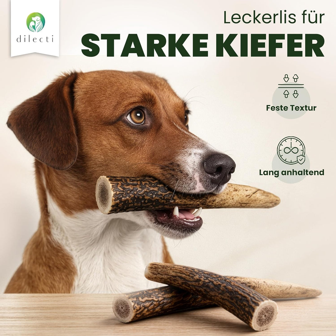 Dilecti Geweih für Hunde - Natürliche, robuste und nahrhafte Kauartikel aus Hundegeweih. Reich an Pr