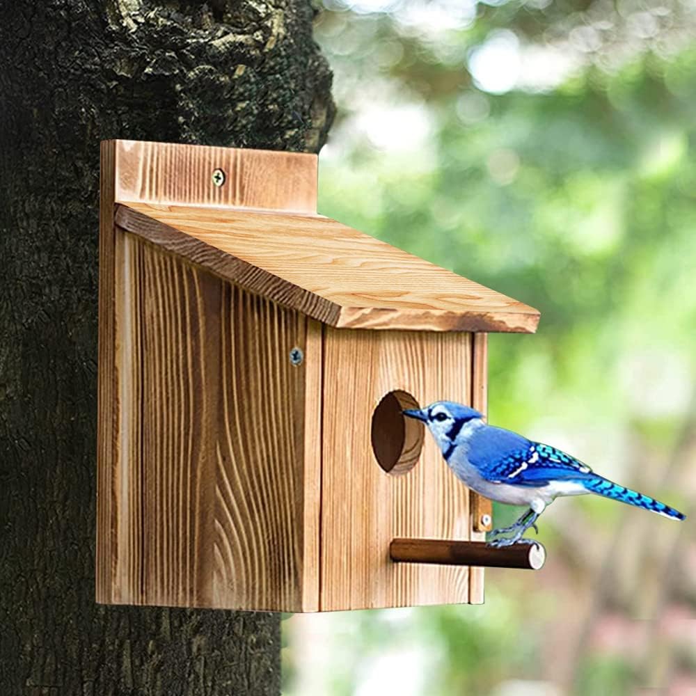 Nistkasten Bausatz Rotkehlchen, Nistkasten für Meise, Vogelhaus Wetterfest aus Holz, Vogelhäuschen Z