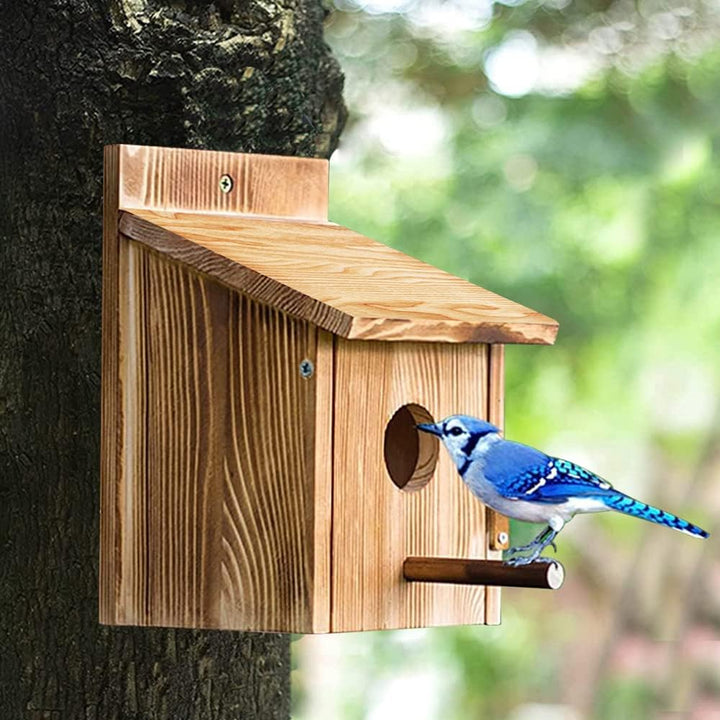 Nistkasten Bausatz Rotkehlchen, Nistkasten für Meise, Vogelhaus Wetterfest aus Holz, Vogelhäuschen Z