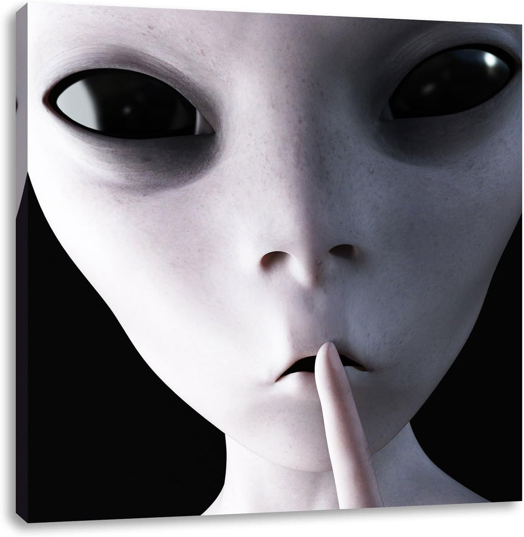 Alien - nicht reden, Format: 70x70 auf Leinwand, XXL riesige Bilder fertig gerahmt mit Keilrahmen, K